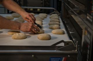 Pâtons de pain crus emballés et posés sur une plaque avant congélation